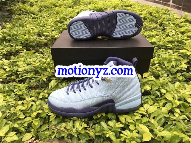 Authentic Air Jordan 12 Retro Purple Dust